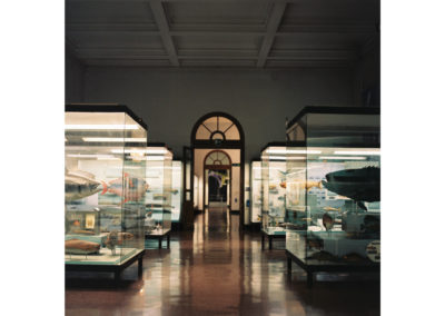 Natural History